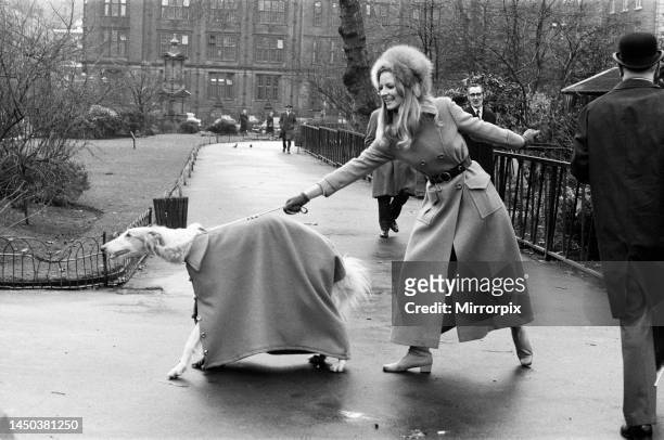 Model Vicki Hodge with her Borzoi Kika. Both wearing maxi coats. 12th January 1970.