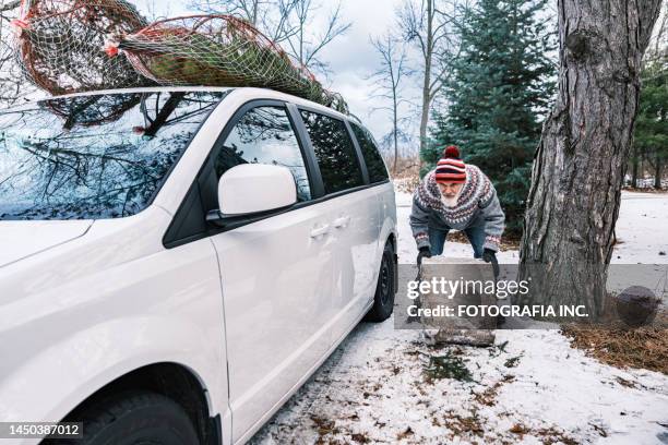 mature man with beard rolling a log outdoors - car logs stock pictures, royalty-free photos & images