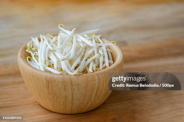 bean sprouts in the wooden cup on the wooden table healthy food ideas - sojabohnensprosse stock-fotos und bilder
