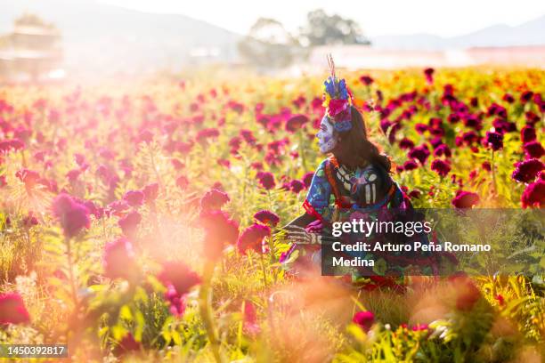 catrina en un campo de flores mexicanas y sol - catrina mexico fotografías e imágenes de stock