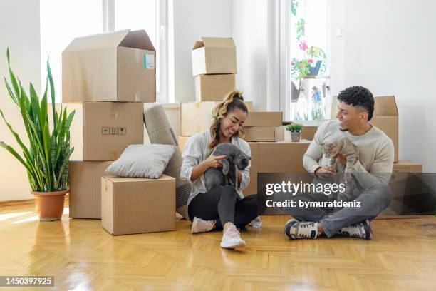 couple with cats sitting on the floor - cat box stockfoto's en -beelden