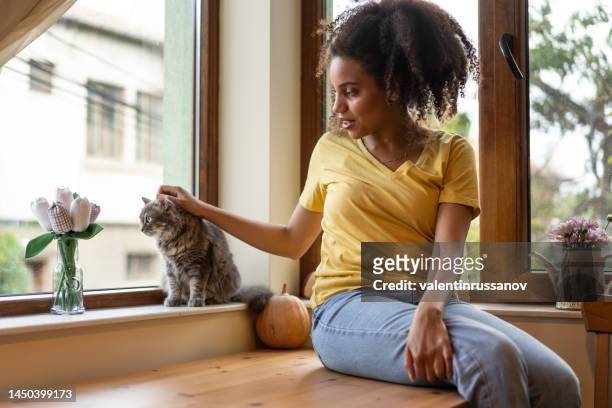 joven mujer afro en casa, sentada a la ventana, acariciando a su gato. estado de ánimo otoñal - pumpkin cats fotografías e imágenes de stock