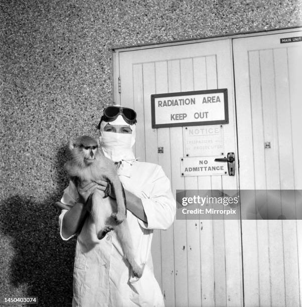 Monkey's are exposed to radiation at this U. K. Establishment to gauge the effect of a nuclear explosion. Circa 1959.