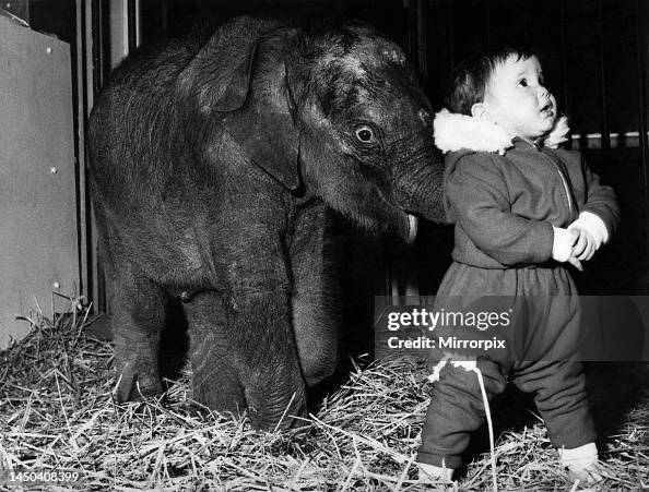 Lisa Roland Little Lisa Roland is hoping this baby elephant will not forget she ...