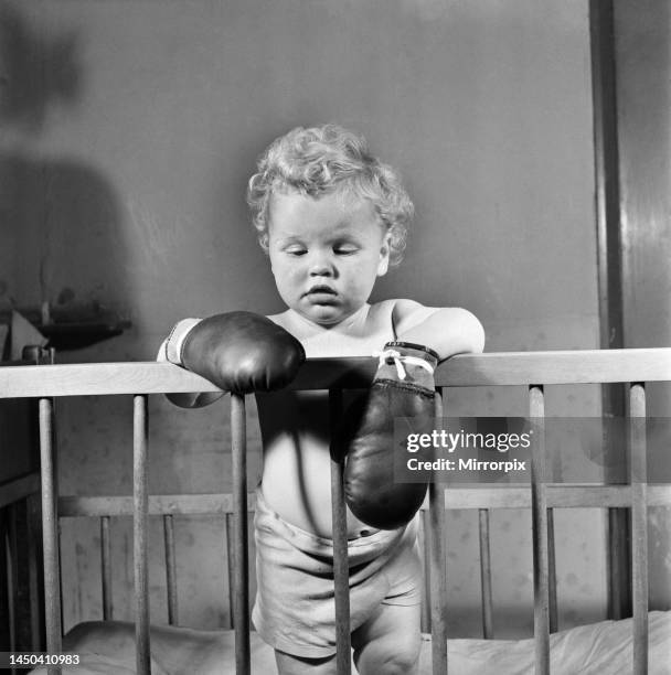 Boxing Baby 55 Baby Boxing Gloves Stock Photos, High-Res Pictures, and Images ...