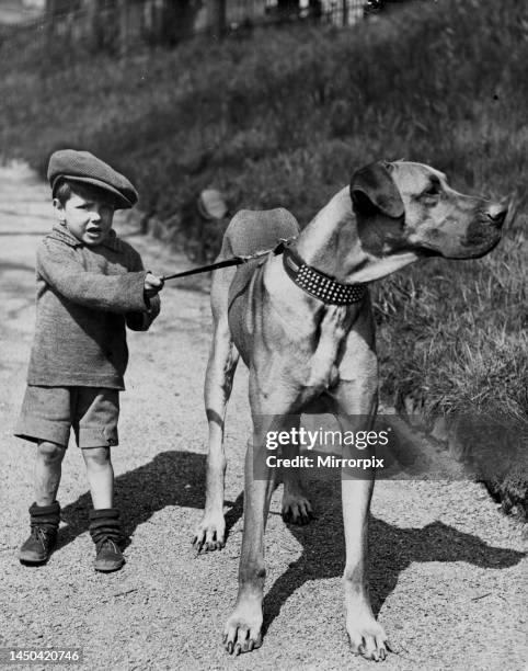 Five year old boy in Edinburgh pictured in Princes Street gardens with his pet dog Sonka. May 1940.