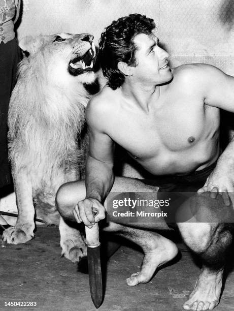 Actor Gordon Scott who stars as Tarzan with Numa the Lion at Elstree Studios November 1955.