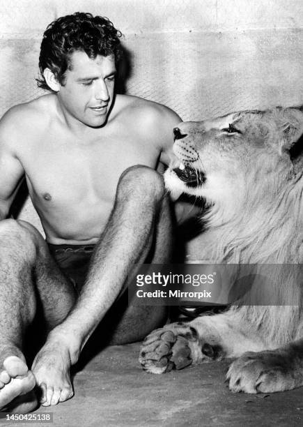 Actor Gordon Scott who stars as Tarzan, pictured with with Numa the Lion at Elstree Studios. November 1955.