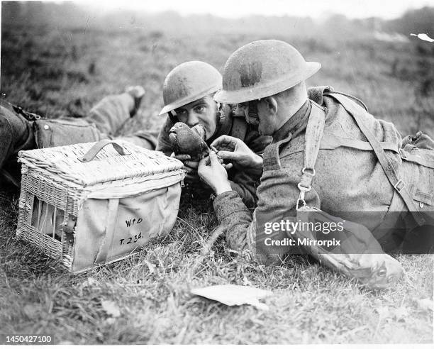 Soldiers send a message using a carrier pigeon. Circa October 1940.