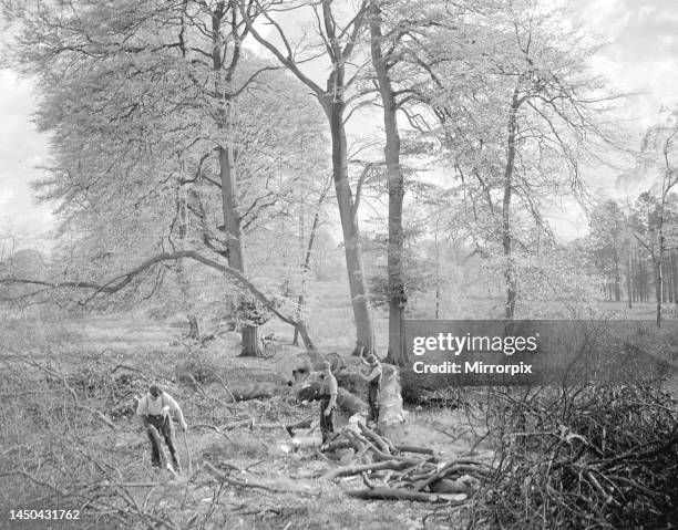 Woodsmen at work in the 1930's.