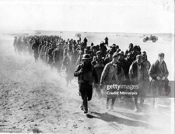 Italian prisoners of war being marched to captivity in the Western Desert.
