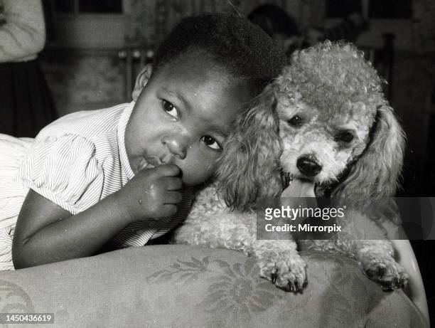 Child with puppy leaning on dog while sucking thumb. 1950's.