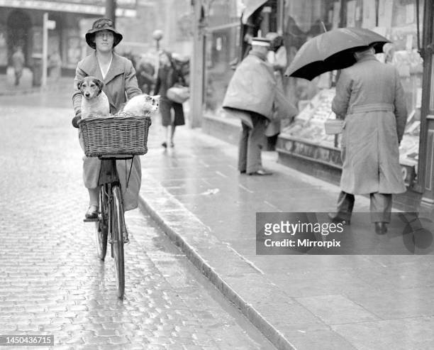 Girl rides her bicycle with her pets in the basket. Circa 1940s.
