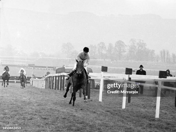 Jockey Pat Taaffe brings Arkle into the last straight on his way to winning the Cheltenham Gold Cup. 17th March 1966.