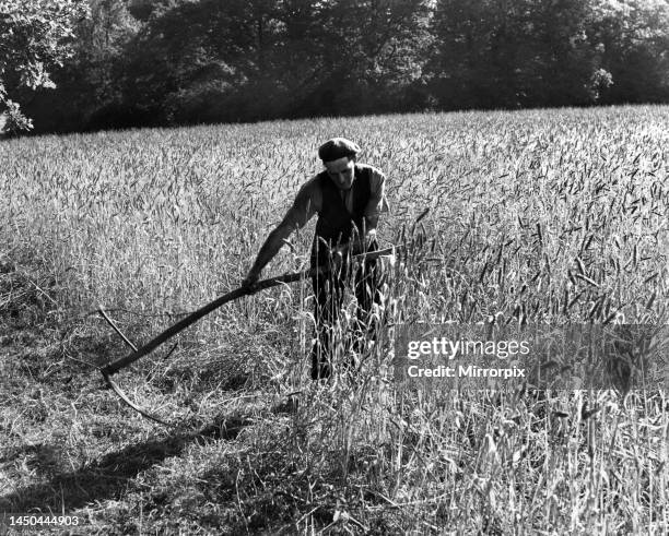 Using Scythe Photos and Premium High Res Pictures - Getty Images