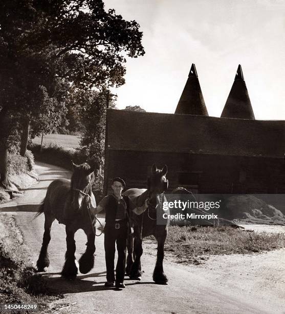 Pool's Farm in Kent Farmer Fred Selling leading his horses to the fields after a hard day's work.