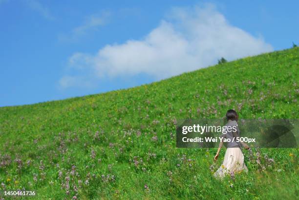 the girl walked up the hillside full of flowers - image stock pictures, royalty-free photos & images