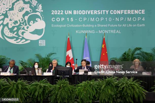Huang Runqiu , president of COP15 and China's minister of ecology and environment, uses a gavel during the plenary session of the United Nations...