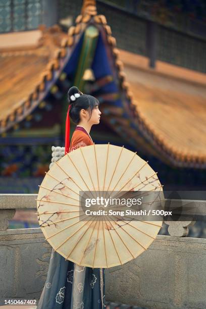 dream back to chang'an - image stock pictures, royalty-free photos & images