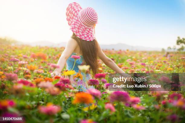 embrace nature - image stock pictures, royalty-free photos & images