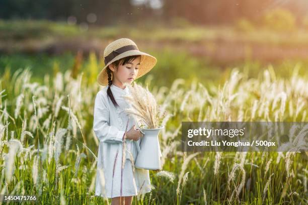 the little girl in a white dress is playing in the white grass - image stock pictures, royalty-free photos & images