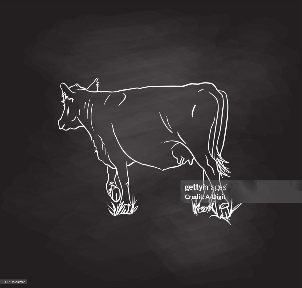 Cow In The Grass Blackboard
