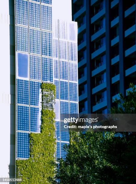 Japan Clean Technology 10,563 Japan Clean Energy Stock Photos, High-Res Pictures, and Images ...
