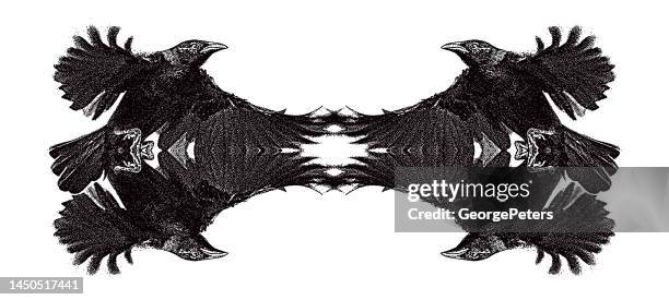 Bird Flying Frame By Frame High Res Illustrations - Getty Images