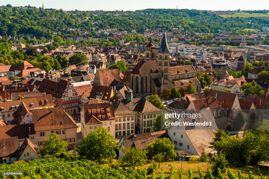 Germany, Baden-Wurttemberg, Esslingen, St. Dionys church and surrounding houses