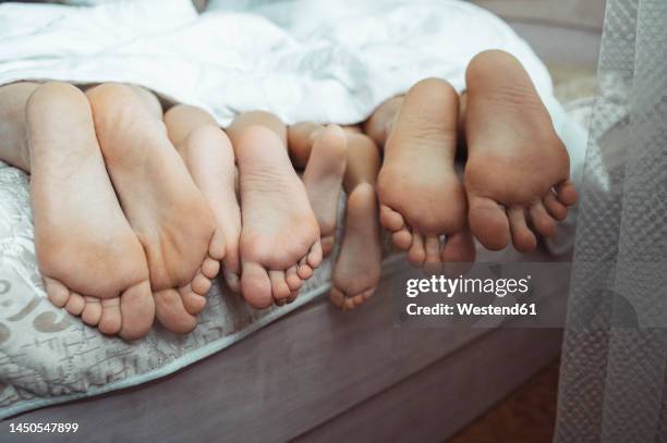 family lying under blanket on bed at home - woman lying on stomach with feet up stock pictures, royalty-free photos & images