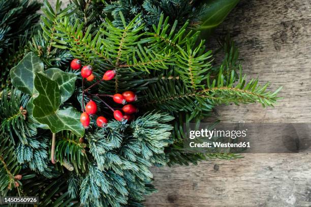 part of wreath made of spruce, juniper, ivy and rose hips - christmas ivy stock pictures, royalty-free photos & images