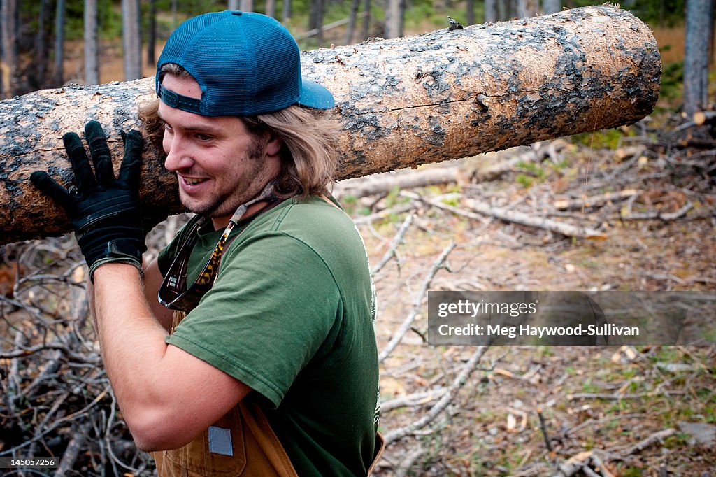 A Montana man carries a large log in the woods.