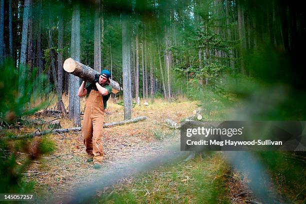 a man carries a large log in the woods. - lumberjack stock pictures, royalty-free photos & images