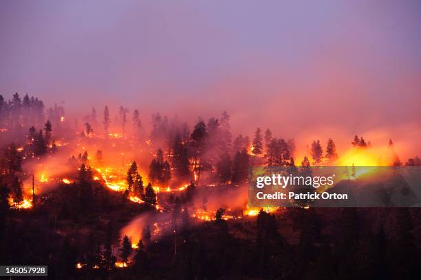 a forrest fire burning the side of a mountain in montana. - incêndio florestal imagens e fotografias de stock