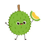 Durian character design. Durian on white background. Durian cartoon vector.