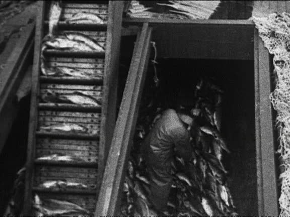Isolated Fish Flopping 27 Fish Flopping Stock Videos, Footage, & 4K Video Clips - Getty Images