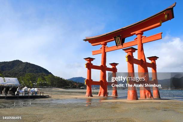 Shrine priests organise a rite as the refurbishment work of a giant shrine gate has been completed at Itsukushima Jinja Shrine on December 18, 2022...