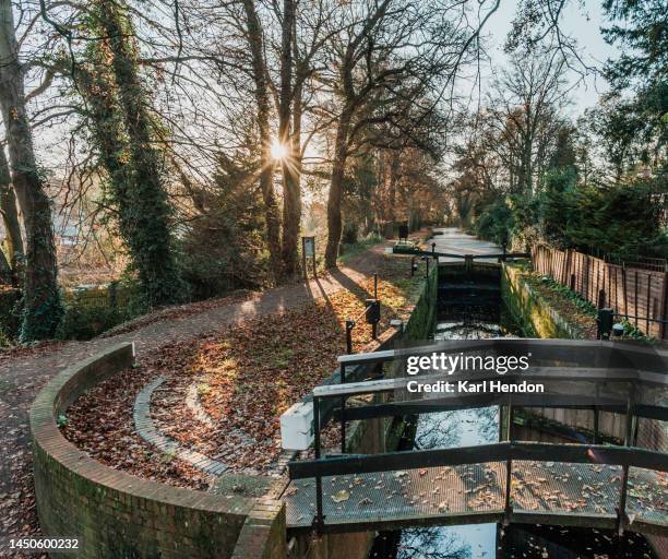 surrey on an autumn day - woking stock pictures, royalty-free photos & images