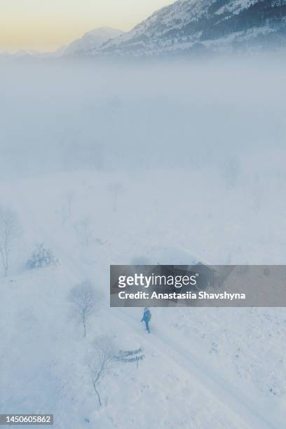 luftaufnahme einer frau, die auf einer schneebedeckten straße am unterstand im wald mit zugefrorenem see und idyllischem bergblick während des sonnenaufgangs in norwegen spaziert geht - taiga stock-fotos und bilder