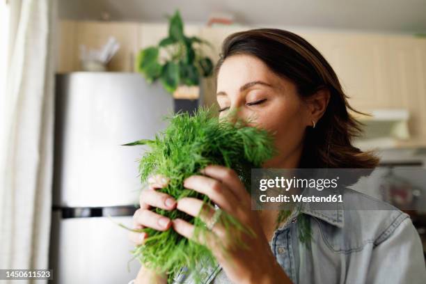 mature woman smelling dill leaves at home - mature woman herbs stock pictures, royalty-free photos & images