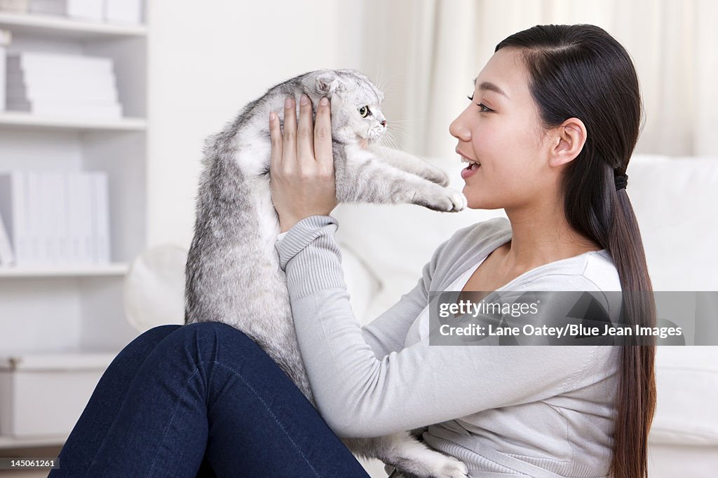 Young woman playing with a Scottish Fold cat