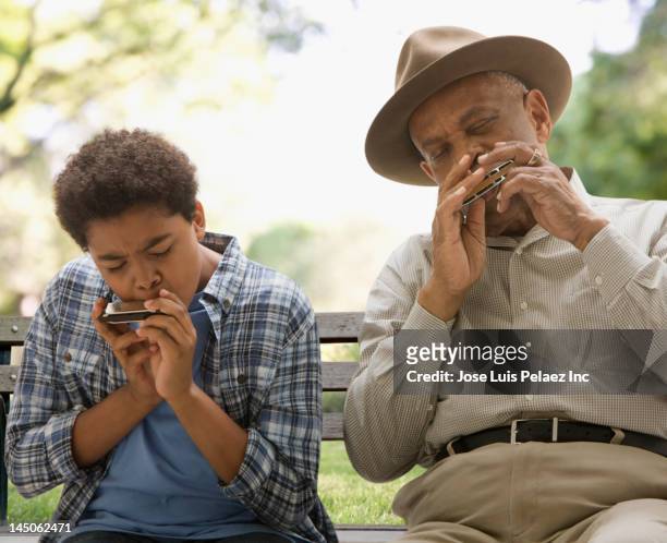 black grandson and grandfather playing harmonica together in park - harmonica stock pictures, royalty-free photos & images