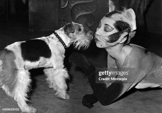 It needs looking into: There's more to this than meets the eye. Those whiskers certainly look like a cat's, but Buddy, the dog, has a hunch in it's...