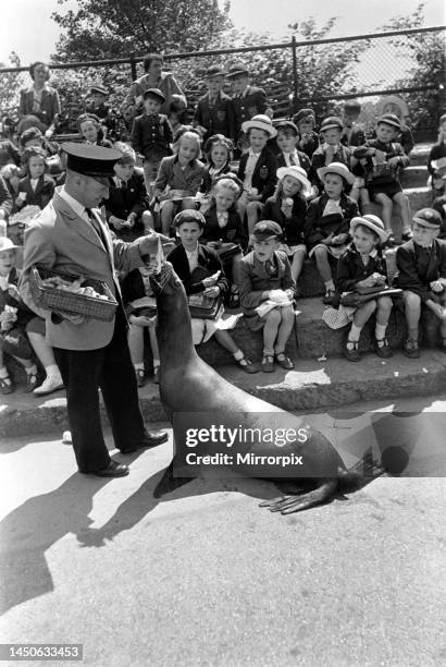 Sea-Lion with his keeper performing for schoolchildren at London Zoo. May 1952.