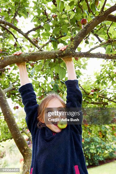 smiling girl playing in fruit tree - somerset stock pictures, royalty-free photos & images