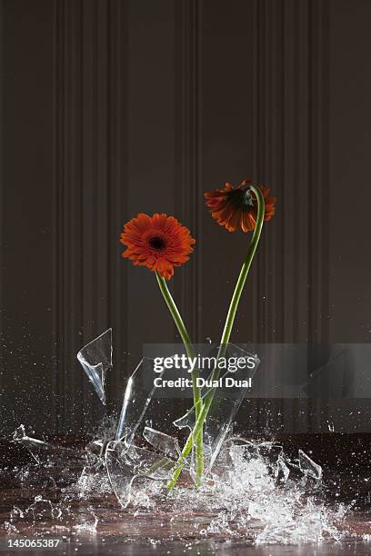 a vase shattering - broken vase stock pictures, royalty-free photos & images