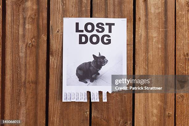 a lost dog flyer posted on a wooden fence - verdwaald stockfoto's en -beelden