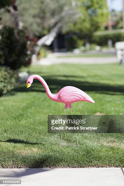 a plastic pink flamingo stuck in a lawn, close-up - flamingos stock-fotos und bilder