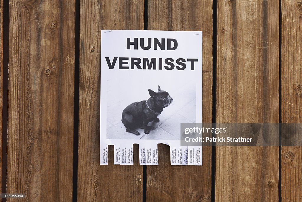 A lost dog in flyer in German posted on a wooden fence