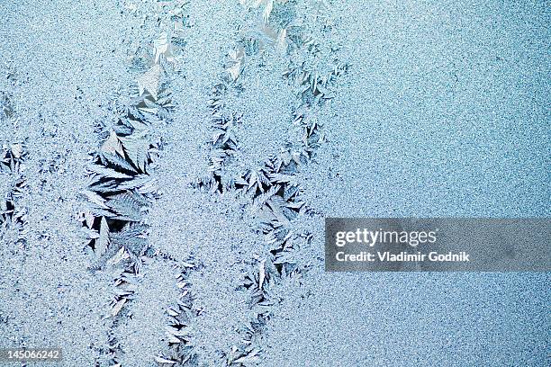 feathered ice crystals - winter plumage stock pictures, royalty-free photos & images